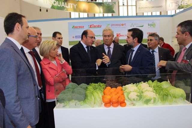 El Gobierno regional potenciará la promoción internacional de las empresas hortofrutícolas murcianas - 1, Foto 1