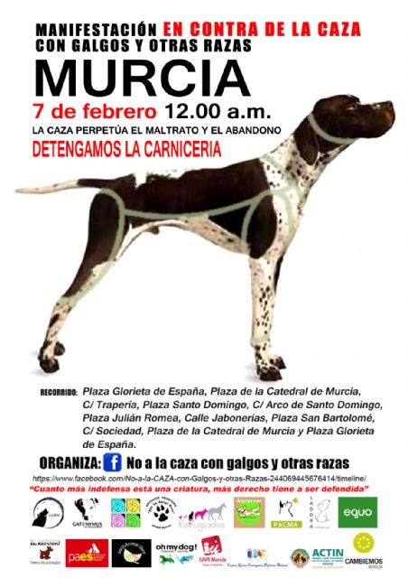 15 ciudades españolas se manifiestan simultaneamente contra la caza con galgos y otras razas - 3, Foto 3