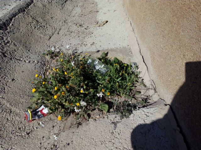 IU-Verdes denuncia deficiencias en el Camino de Felí que ponen en peligro a los escolares de la zona - 1, Foto 1