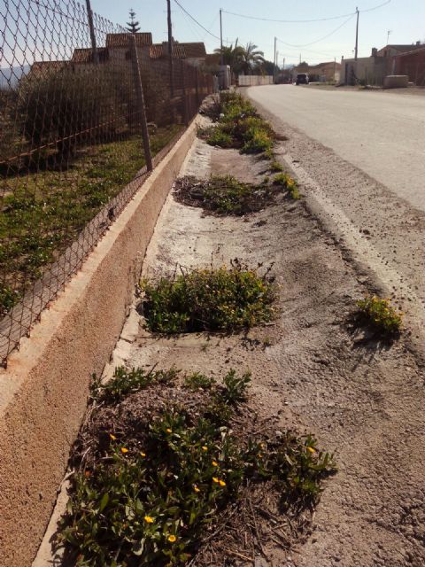 IU-Verdes denuncia deficiencias en el Camino de Felí que ponen en peligro a los escolares de la zona - 4, Foto 4