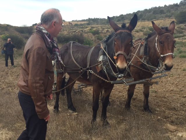 Medio Ambiente supervisa los trabajos de custodia del territorio de la asociación ACUDE en la finca municipal ´La Tercia´ - 1, Foto 1