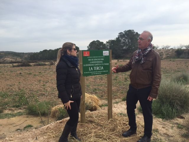 Medio Ambiente supervisa los trabajos de custodia del territorio de la asociación ACUDE en la finca municipal ´La Tercia´ - 4, Foto 4
