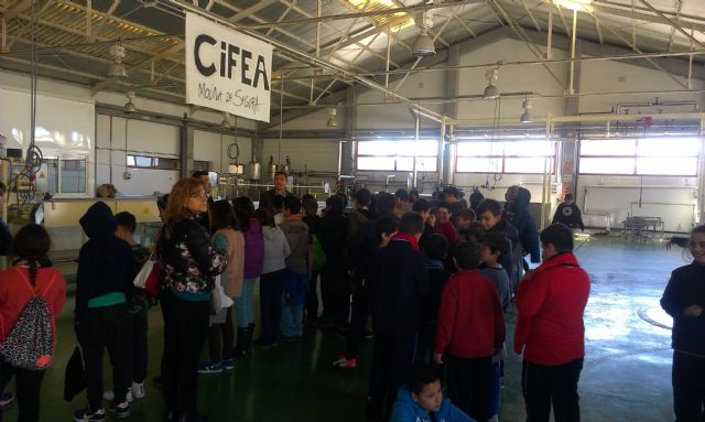 Molina de Segura recibe a más de 10.000 visitantes durante el año 2016 - 4, Foto 4