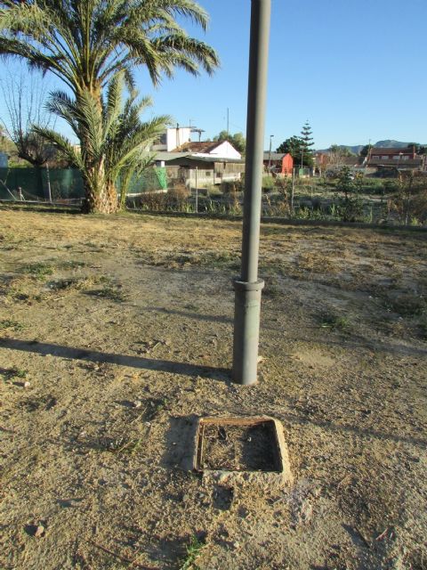 HUERMUR denuncia el abandono, la degradación y nula señalización del Palmeral Chico de Zaraiche - 4, Foto 4