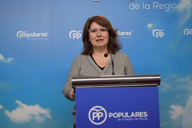 El PP propone en la Asamblea la creación de la categoría de Familias Múltiples en la legislación española - 1, Foto 1