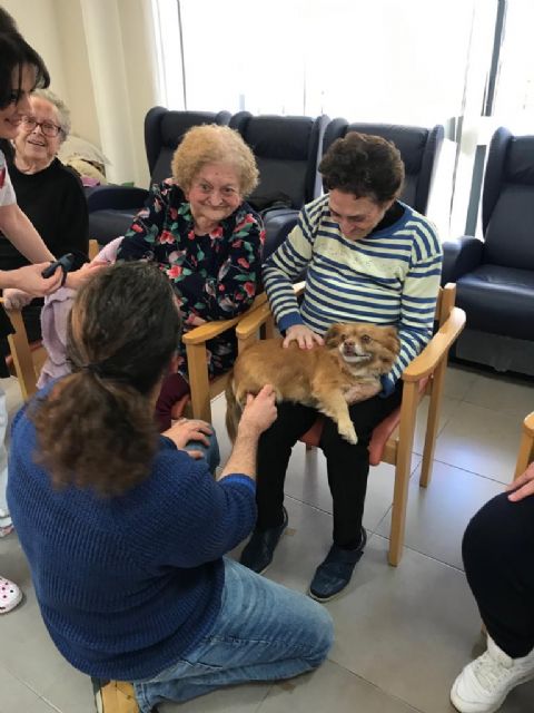Los usuarios del Centro de Día Pedro Hernández Caballero realizan terapias con perros - 1, Foto 1