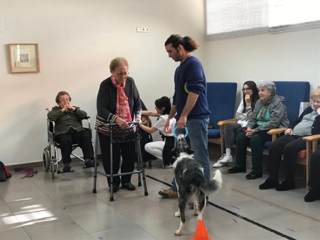Los usuarios del Centro de Día Pedro Hernández Caballero realizan terapias con perros - 2, Foto 2