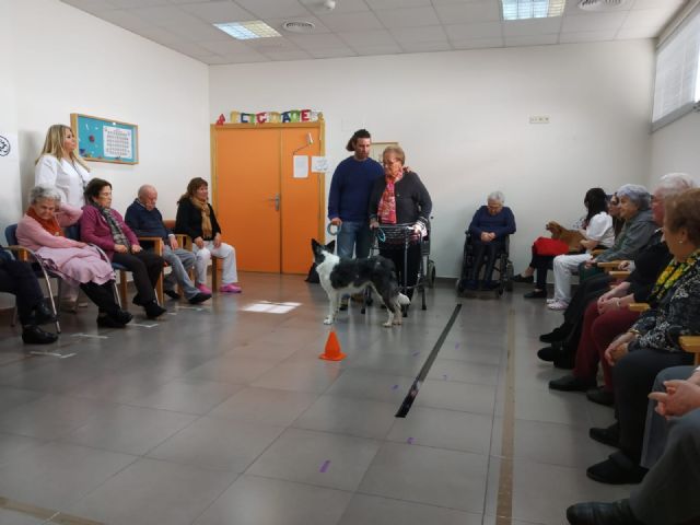 Los usuarios del Centro de Día Pedro Hernández Caballero realizan terapias con perros - 4, Foto 4