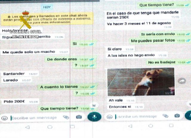 La Guardia Civil destapa un entramado delictivo de estafas online - 2, Foto 2