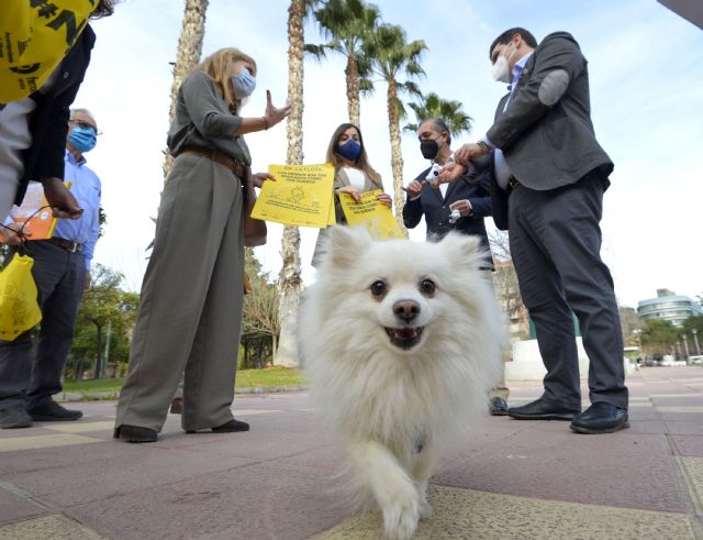 La campaña 'Los perros son tan educados como sus dueños' llega a los barrios de La Flota y Vistalegre - 1, Foto 1