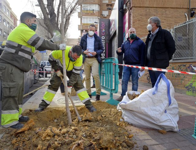 El Ayuntamiento de Murcia está plantando más de 11.000 árboles gracias al Plan Foresta y a la campaña de reposición de arbolado - 1, Foto 1