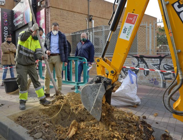 El Ayuntamiento de Murcia está plantando más de 11.000 árboles gracias al Plan Foresta y a la campaña de reposición de arbolado - 2, Foto 2