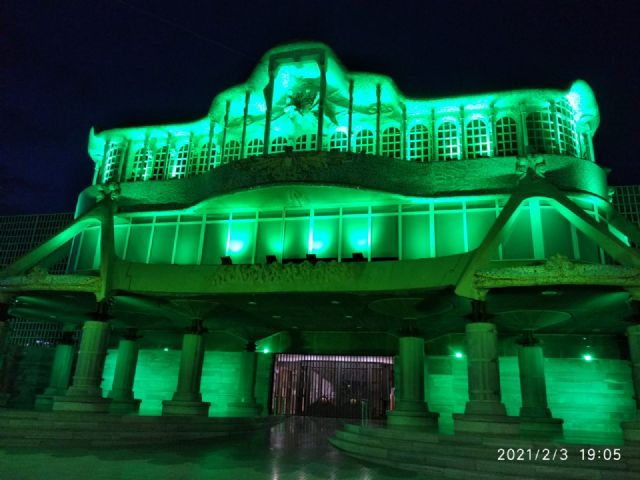 La Asamblea Regional se tiñe de verde con motivo del Día Mundial contra el Cáncer - 4, Foto 4