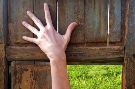 Los Auditorios Municipales se llenan de arte este mes de febrero con propuestas para todos los gustos y públicos - 3, Foto 3