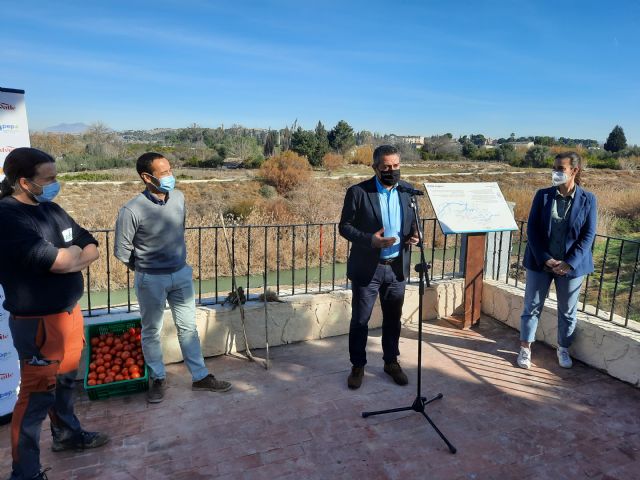 Más de 30 voluntarios participan en una jornada de plantación de árboles y plantas en el Paraje del Agua Salá - 2, Foto 2