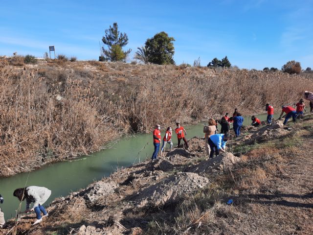 Más de 30 voluntarios participan en una jornada de plantación de árboles y plantas en el Paraje del Agua Salá - 3, Foto 3