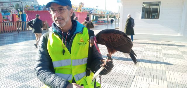 La cetrería, una estrategia sostenible de Lokímica para controlar la población de aves en las ciudades - 1, Foto 1