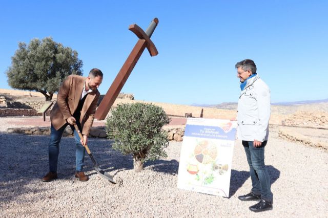 Lorca celebrará por primera vez la fiesta judía de Tu Bishvat, el Año Nuevo de los Árboles - 3, Foto 3