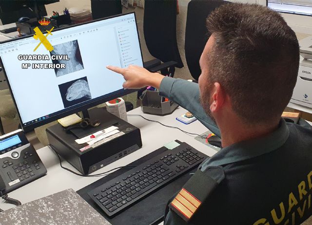 La Guardia Civil investiga a tres personas como presuntas autoras de delito contra los animales (maltrato animal) - 4, Foto 4