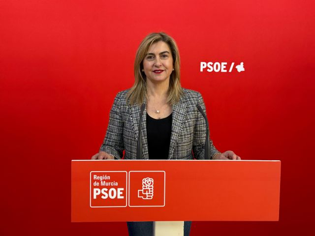Carmina Fernández: La estrategia del PP consiste en perjudicar a la Región haciendo que pierda millones de euros solo para desgastar al Gobierno de España - 1, Foto 1