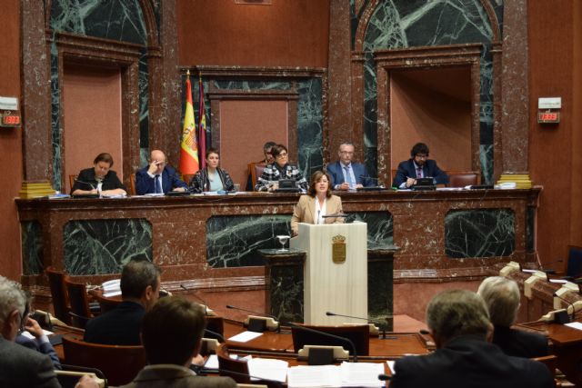 El PP estudiará recurrir la Ley de Emergencia de Ciudadana porque no respeta la separación de poderes - 1, Foto 1