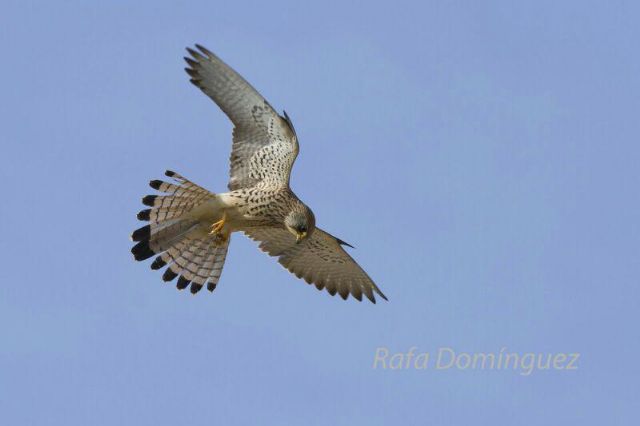 Denuncian que el Gobierno Regional lleva 20 años incumpliendo la legislación ambiental - 2, Foto 2