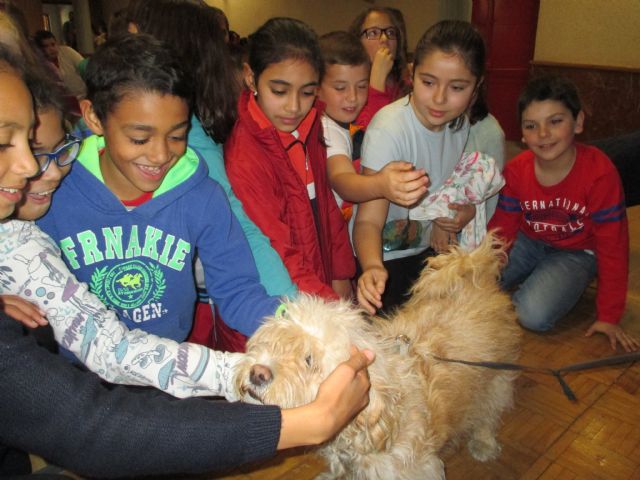 Los alumnos de 4° de Primaria reciben una charla sobre la concienciación del bienestar animal - 4, Foto 4