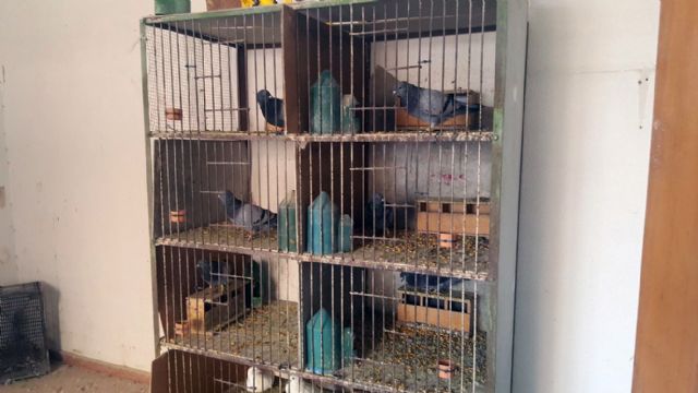 Cs reclamará en el Pleno la actualización del inventario de bienes inmuebles municipales en barrios y pedanías - 4, Foto 4