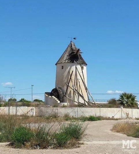Ricardo Segado felicita a DAPHNE por conseguir que la CARM lleve a cabo el Plan Director de los Molinos de Viento - 1, Foto 1