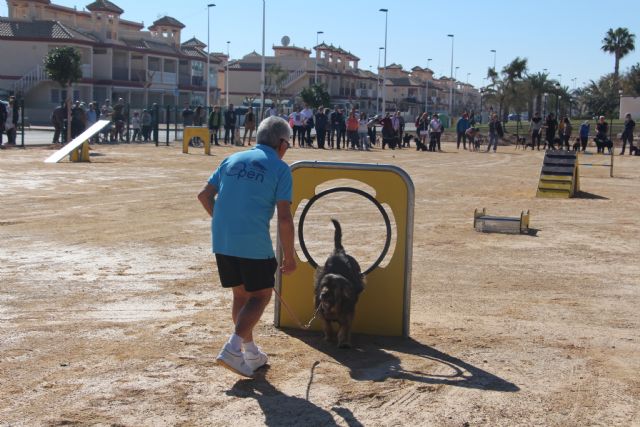 San Pedro del Pinatar cuenta con un parque agility canino con más de una decena de obstáculos - 2, Foto 2
