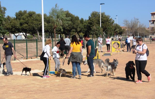 San Pedro del Pinatar cuenta con un parque agility canino con más de una decena de obstáculos - 3, Foto 3