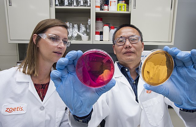 Zoetis crece por séptimo año consecutivo y se mantiene a la cabeza del sector salud animal a nivel mundial - 1, Foto 1