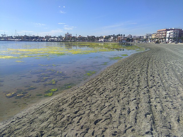 El Convenio de Barcelona de Naciones Unidas anuncia que entrará al fondo de la queja sobre el Mar Menor presentada por Ecologistas en Acción - 2, Foto 2