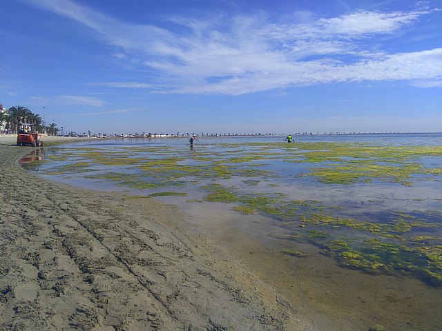 El Convenio de Barcelona de Naciones Unidas anuncia que entrará al fondo de la queja sobre el Mar Menor presentada por Ecologistas en Acción - 4, Foto 4