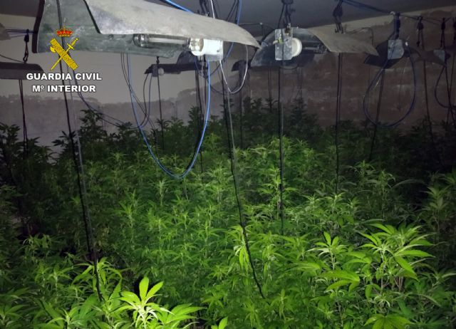 La Guardia Civil desmantela cuatro invernaderos clandestinos de marihuana en Los Alcázares - 4, Foto 4