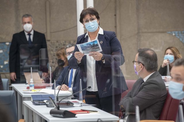 Magdalena Sánchez: Díez de Revenga vuelve a mentir en sede parlamentaria y no contesta a las preguntas en el pleno de control - 1, Foto 1