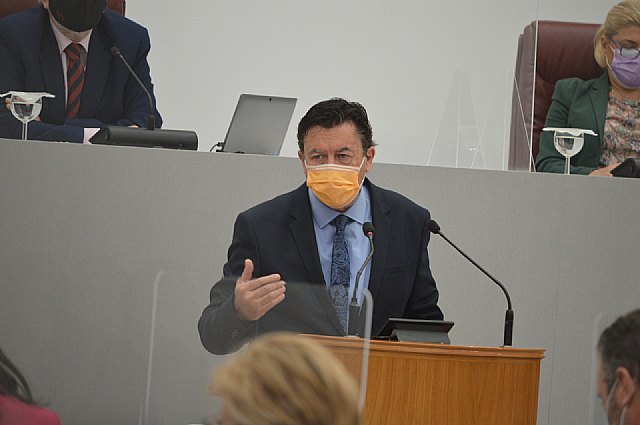 Ciudadanos pide acelerar la vacunación de personas con riesgo derivado de enfermedades cardíacas y renales, cáncer o diabetes - 1, Foto 1