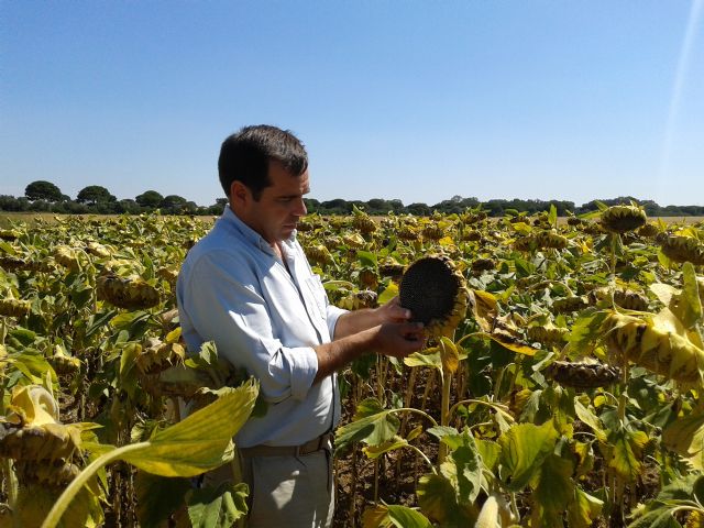El compromiso de los agricultores con la mejora de la biodiversidad protege el entorno natural y es compatible con la productividad de los cultivos - 5, Foto 5
