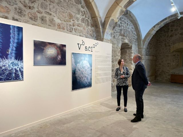 El universo de Violeta Nicolás inunda Caballerizas desde este viernes - 1, Foto 1