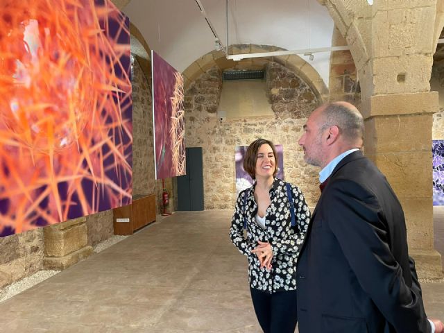 El universo de Violeta Nicolás inunda Caballerizas desde este viernes - 2, Foto 2