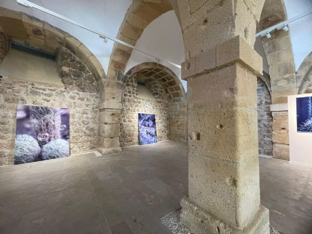 El universo de Violeta Nicolás inunda Caballerizas desde este viernes - 3, Foto 3