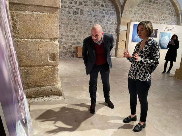 El universo de Violeta Nicolás inunda Caballerizas desde este viernes - 4, Foto 4