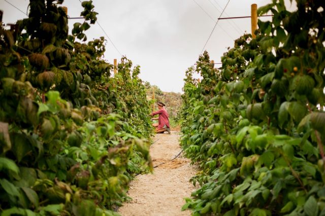 La fundación Pepsico y Fademur abren el plazo de inscripción para las becas al emprendimiento rural 2023 - 1, Foto 1