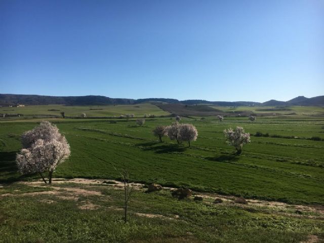 Las precipitaciones registradas en algunas comarcas son equiparables a las de territorios considerados como desiertos - 2, Foto 2