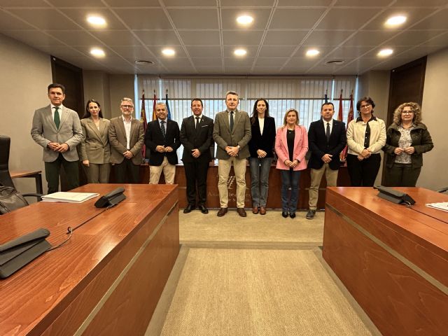 El alcalde de Mula expone, en la Asamblea Regional, las necesidades de su municipio para hacer frente a la despoblación - 2, Foto 2
