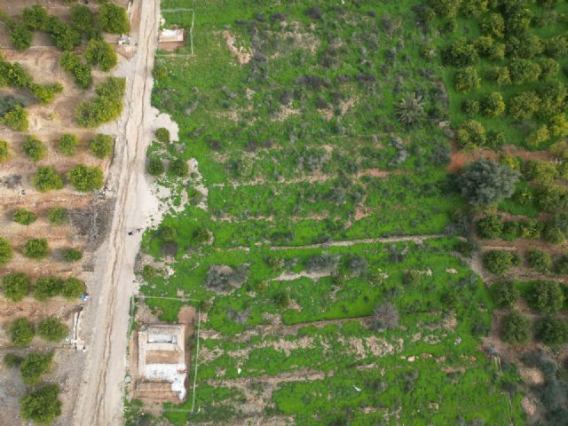 El Ayuntamiento conservará las Torres exteriores halladas tras las últimas excavaciones en el Palacio Ibn Mardanís - 3, Foto 3