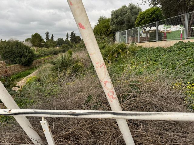 MC denuncia el abandono de espacios públicos en Canteras y reclama mejoras urgentes en seguridad vial - 3, Foto 3