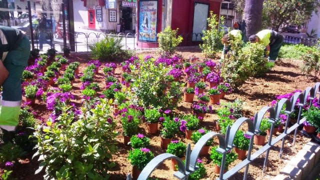 Desarrollo Sostenible intensifica los trabajos de reposicion de flores en parterres y jardines para un mayor embellecimiento - 1, Foto 1