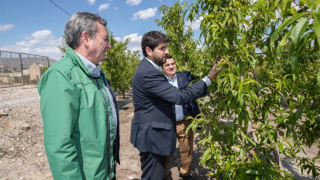 López Miras mantiene un encuentro con agricultores y empresarios agrícolas en Abarán - 1, Foto 1