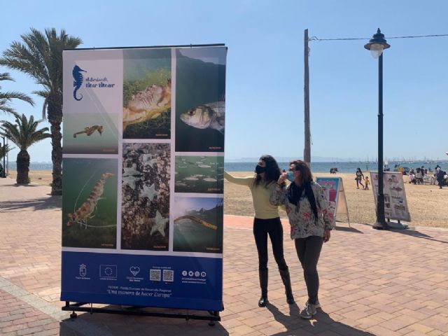 Una colección de fotografías sobre la fauna del Mar Menor acercará a los visitantes la riqueza natural que atesora el ecosistema - 1, Foto 1